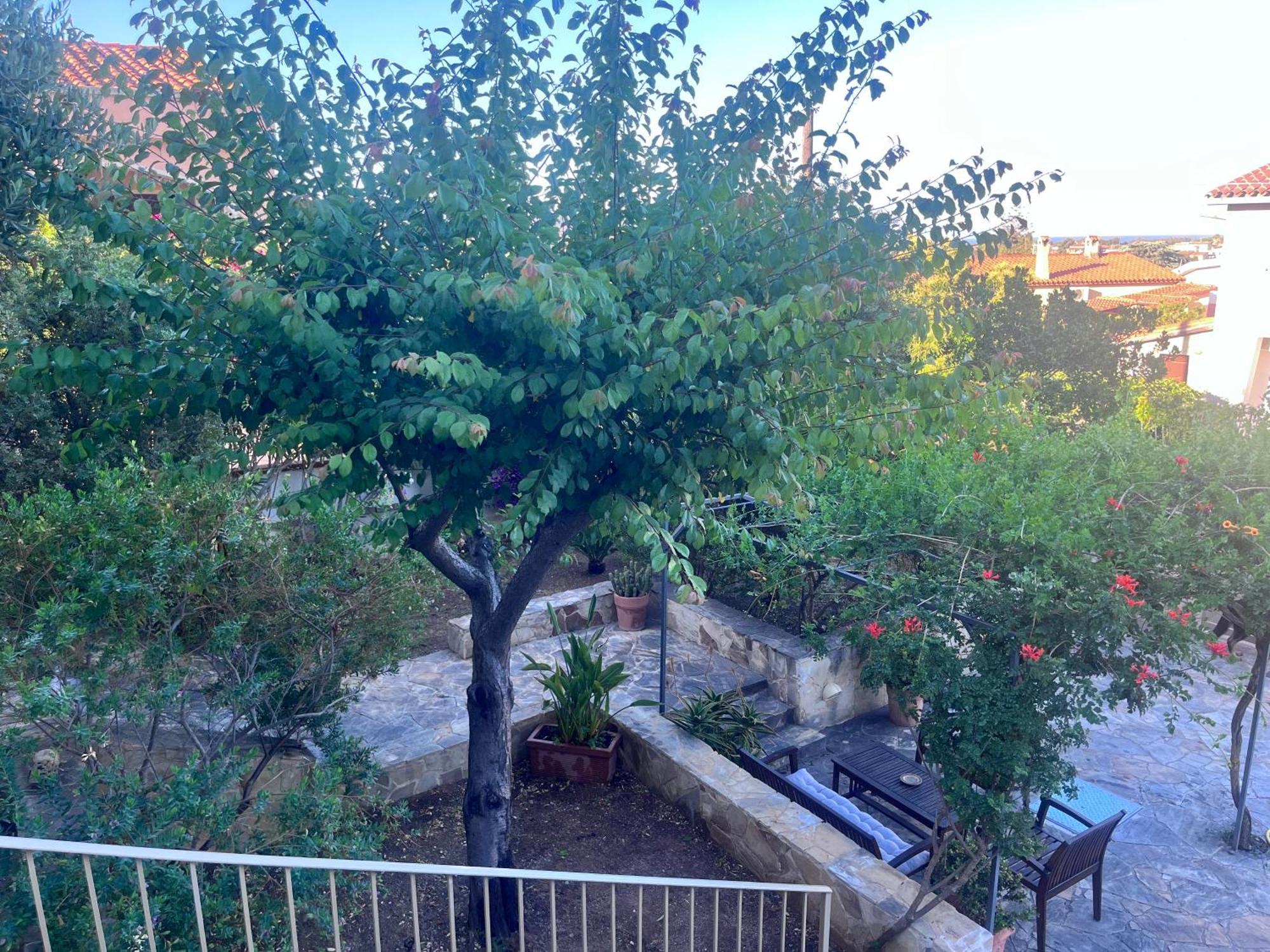 Villa Fatta Di Sogni Pula Bagian luar foto
